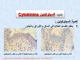 CCyyttookkiinniinnss (تابع) : االلسسييتتووككييننيينن 
أهمية السيتوكينين : 
1 ينظم إنقسام الخليا فى الساق والوراق والجذور ....