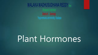 Plant Hormones
 