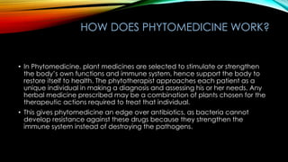 HOW DOES PHYTOMEDICINE WORK?
• In Phytomedicine, plant medicines are selected to stimulate or strengthen
the body’s own functions and immune system, hence support the body to
restore itself to health. The phytotherapist approaches each patient as a
unique individual in making a diagnosis and assessing his or her needs. Any
herbal medicine prescribed may be a combination of plants chosen for the
therapeutic actions required to treat that individual.
• This gives phytomedicine an edge over antibiotics, as bacteria cannot
develop resistance against these drugs because they strengthen the
immune system instead of destroying the pathogens.
 