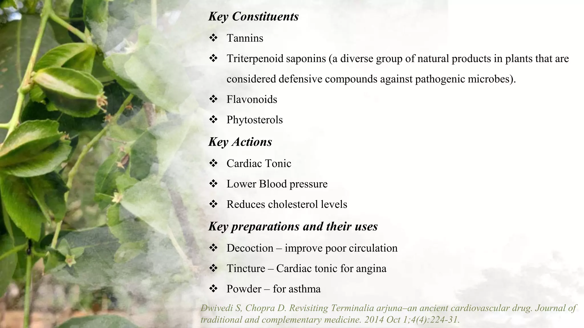 PHYTOMEDICINE - By Dr. Devanshi Goel.pptx