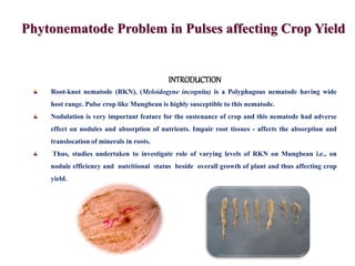 Phytonematode Problem in Pulses affecting Crop Yield
Root-knot nematode (RKN), (Meloidogyne incognita) is a Polyphagous nematode having wide
host range. Pulse crop like Mungbean is highly susceptible to this nematode.
Nodulation is very important feature for the sustenance of crop and this nematode had adverse
effect on nodules and absorption of nutrients. Impair root tissues - affects the absorption and
translocation of minerals in roots.
Thus, studies undertaken to investigate role of varying levels of RKN on Mungbean i.e., on
nodule efficiency and nutritional status beside overall growth of plant and thus affecting crop
yield.
INTRODUCTION
 