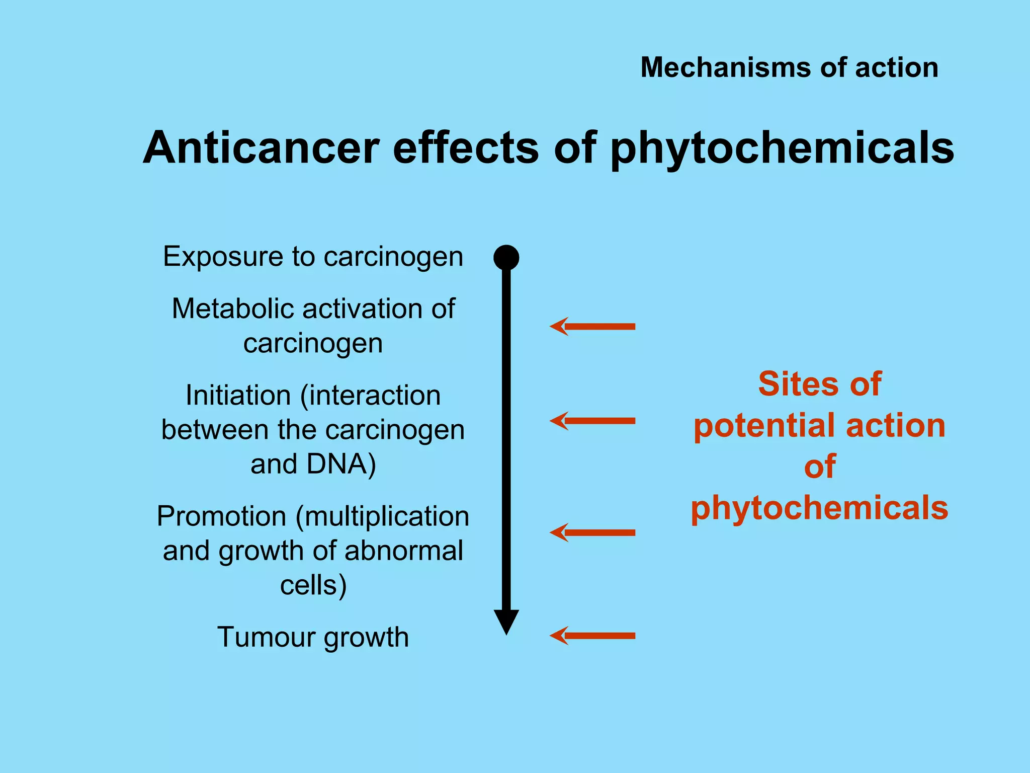 Mechanisms of action Anticancer effects of phytochemicals Exposure to carcinogen Metabolic activation of carcinogen Initiation (interaction between the carcinogen and DNA) Promotion (multiplication and growth of abnormal cells) Tumour growth Sites of potential action of phytochemicals 