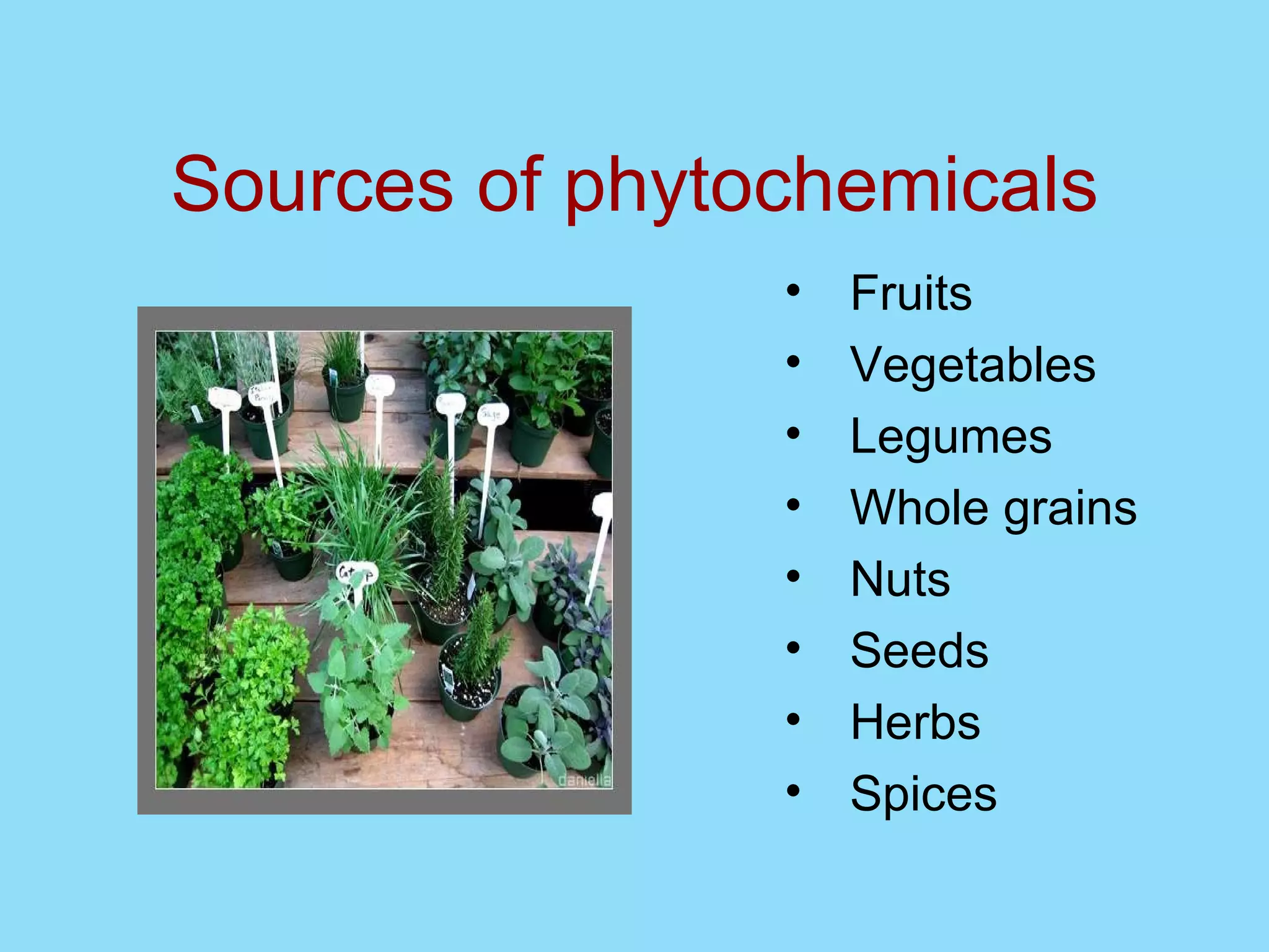 Sources of phytochemicals Fruits  Vegetables Legumes Whole grains Nuts Seeds Herbs Spices 