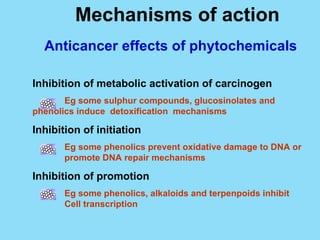 Mechanisms of action Anticancer effects of phytochemicals Inhibition of metabolic activation of carcinogen Eg some sulphur compounds, glucosinolates and  phenolics induce  detoxification  mechanisms Inhibition of initiation Eg some phenolics prevent oxidative damage to DNA or  promote DNA repair mechanisms Inhibition of promotion Eg some phenolics, alkaloids and terpenpoids inhibit  Cell transcription  