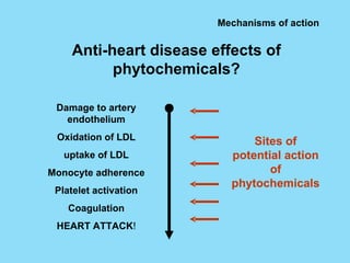 Mechanisms of action Anti-heart disease effects of phytochemicals? Damage to artery endothelium Oxidation of LDL uptake of LDL  Monocyte adherence Platelet activation Coagulation HEART ATTACK ! Sites of potential action of phytochemicals 