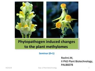 03/23/18 Dept. of Plant Biotechnology 1
Phytopathogen induced changes
to the plant methylomes
Phytopathogen induced changes
to the plant methylomes
Seminar (0+1)
Roshni.M,Roshni.M,
II PhD Plant Biotechnology,II PhD Plant Biotechnology,
PALB6078PALB6078
 