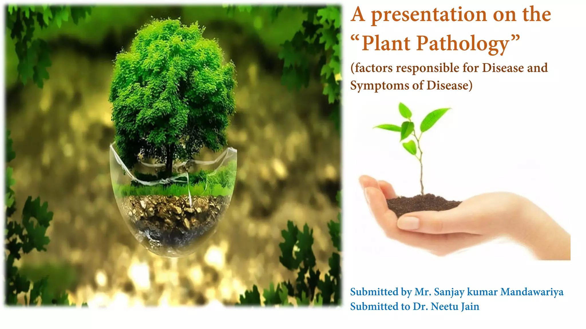 Phytopathology ( Factors for disease development and Symptoms of ...