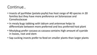 Phytophagous insect and their host finding mechanism | PPTX
