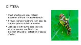 Phytophagous insect and their host finding mechanism | PPTX