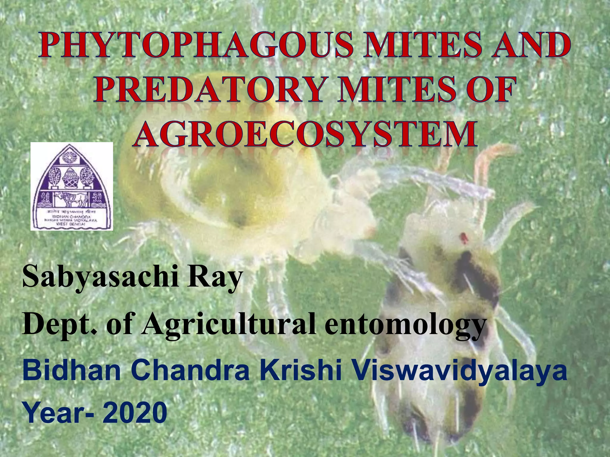 PHYTOPHAGOUS MITES AND BENEFICIAL MITES OF AGROECOSYSTEM.pptx
