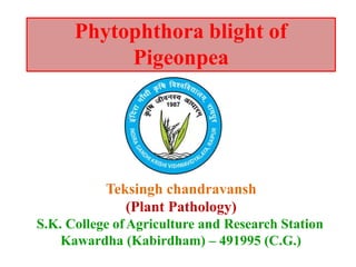 Phytophthora blight of
Pigeonpea
Teksingh chandravansh
(Plant Pathology)
S.K. College ofAgriculture and Research Station
Kawardha (Kabirdham) – 491995 (C.G.)
 