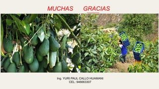 MUCHAS GRACIAS
Ing. YURI PAUL CALLO HUAMANI
CEL: 946663307
 