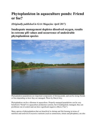 Phytoplankton in aquaculture ponds: Friend
or foe?
(Originally published in GAA Magazine April 2017)
Inadequate management depletes dissolved oxygen, results
in extreme pH values and occurrence of undesirable
phytoplankton species
Phytoplankton populations are important components of shrimp ponds, and can be strong friends
or foes depending on how they are managed. Photo by Darryl Jory.
Phytoplankton can be a dilemma in aquaculture. Properly managed populations can be very
beneficial (“friend”) to aquaculture production systems, but if inadequately managed, they can
proliferate out of control and can have significant negative effects (“foe”).
Many species of phytoplankton that are beneficial in shrimp and fish farming in terms of
nutrition and removal of excessive nutrients (such as ammonium, nitrate and phosphate), are also
 
