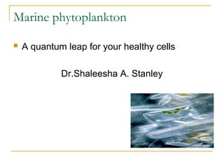 Marine phytoplankton


A quantum leap for your healthy cells
Dr.Shaleesha A. Stanley

 