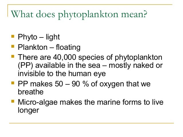 marine biotechnology  phytoplanktons