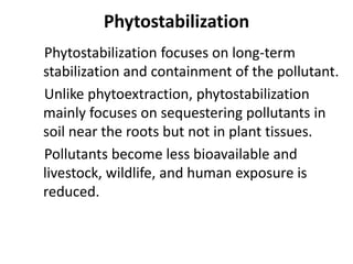 Phytostabilization
Phytostabilization focuses on long-term
stabilization and containment of the pollutant.
Unlike phytoextraction, phytostabilization
mainly focuses on sequestering pollutants in
soil near the roots but not in plant tissues.
Pollutants become less bioavailable and
livestock, wildlife, and human exposure is
reduced.
 