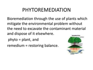 PHYTOREMEDIATION
Bioremediation through the use of plants which
mitigate the environmental problem without
the need to excavate the contaminant material
and dispose of it elsewhere.
 phyto = plant, and
remedium = restoring balance.
 