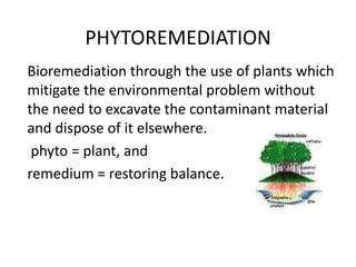 PHYTOREMEDIATION
Bioremediation through the use of plants which
mitigate the environmental problem without
the need to excavate the contaminant material
and dispose of it elsewhere.
phyto = plant, and
remedium = restoring balance.
 