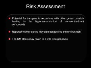Risk Assessment
Potential for the gene to recombine with other genes possibly
leading to the hyperaccumulation of non-contaminant
compounds
Reporter/marker genes may also escape into the environment
The GM plants may revert to a wild type genotype
 