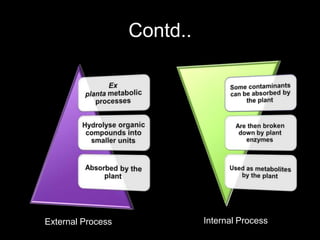 Contd..
External Process Internal Process
 