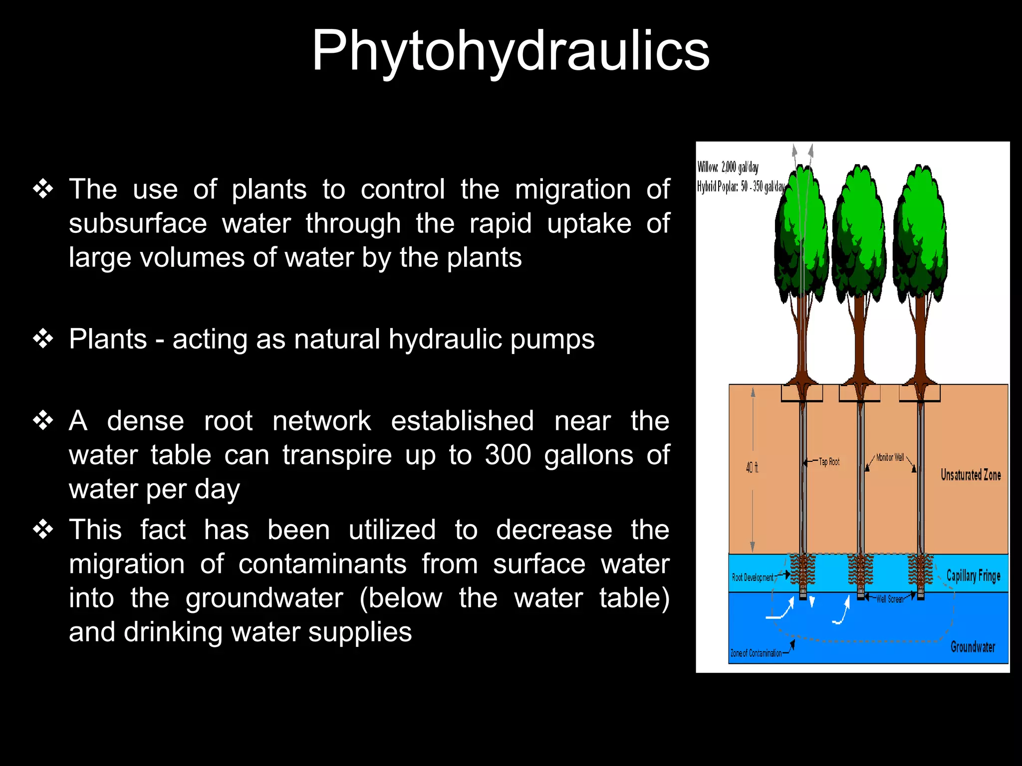 Phytohydraulics

 The use of plants to control the migration of
  subsurface water through the rapid uptake of
  large volumes of water by the plants

 Plants - acting as natural hydraulic pumps

 A dense root network established near the
  water table can transpire up to 300 gallons of
  water per day
 This fact has been utilized to decrease the
  migration of contaminants from surface water
  into the groundwater (below the water table)
  and drinking water supplies
 