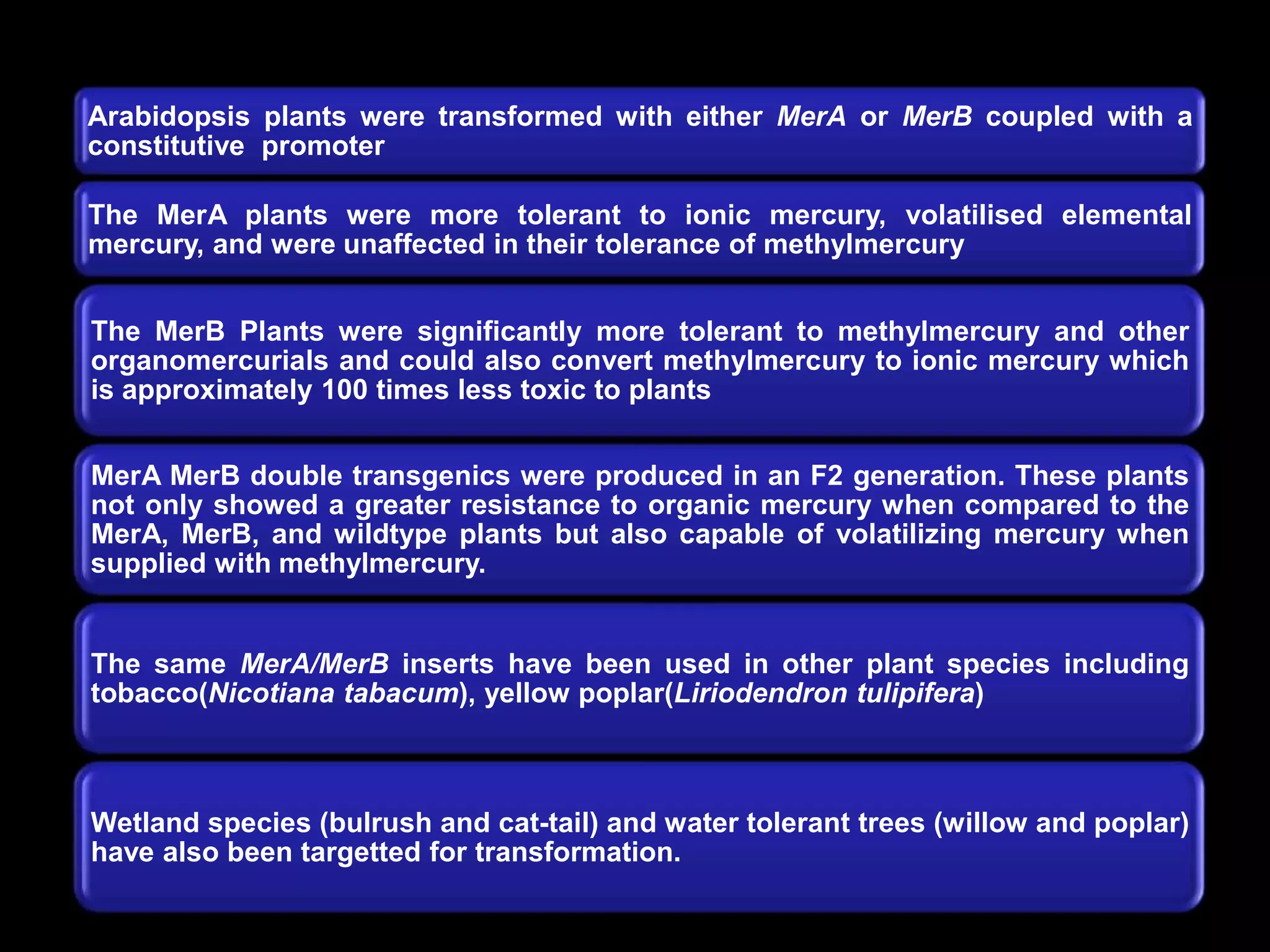 Arabidopsis plants were transformed with either MerA or MerB coupled with a
constitutive promoter

The MerA plants were more tolerant to ionic mercury, volatilised elemental
mercury, and were unaffected in their tolerance of methylmercury


The MerB Plants were significantly more tolerant to methylmercury and other
organomercurials and could also convert methylmercury to ionic mercury which
is approximately 100 times less toxic to plants


MerA MerB double transgenics were produced in an F2 generation. These plants
not only showed a greater resistance to organic mercury when compared to the
MerA, MerB, and wildtype plants but also capable of volatilizing mercury when
supplied with methylmercury.


The same MerA/MerB inserts have been used in other plant species including
tobacco(Nicotiana tabacum), yellow poplar(Liriodendron tulipifera)



Wetland species (bulrush and cat-tail) and water tolerant trees (willow and poplar)
have also been targetted for transformation.
 