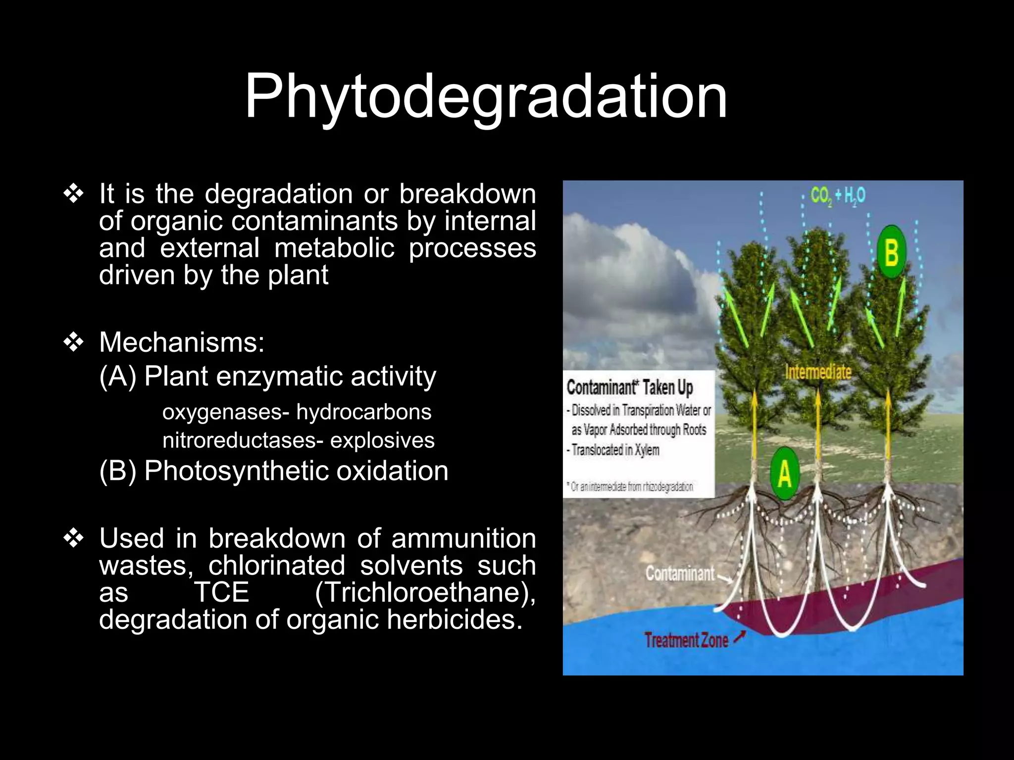 Phytodegradation
 It is the degradation or breakdown
  of organic contaminants by internal
  and external metabolic processes
  driven by the plant

 Mechanisms:
  (A) Plant enzymatic activity
        oxygenases- hydrocarbons
        nitroreductases- explosives
   (B) Photosynthetic oxidation

 Used in breakdown of ammunition
  wastes, chlorinated solvents such
  as     TCE       (Trichloroethane),
  degradation of organic herbicides.
 