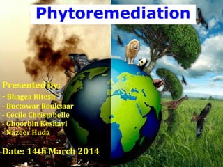 Phytoremediation
Presented by:
- Bhagea Ritesh
- Buctowar Rouksaar
- Cécile Christabelle
- Ghoorbin Keshavi
- Nazeer Huda
Date: 14th March 2014
 