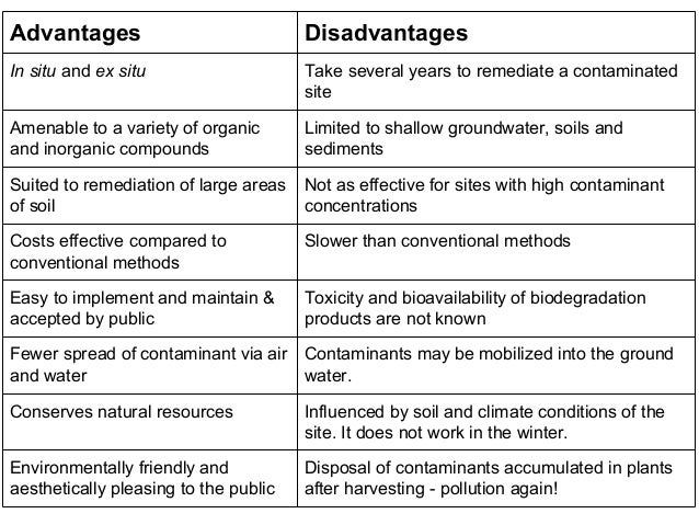 Disadvantages of pollution essay