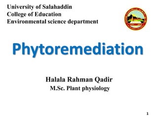 University of Salahaddin
College of Education
Environmental science department
Phytoremediation
1
Halala Rahman Qadir
M.Sc. Plant physiology
 