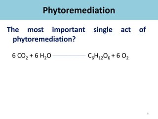 Phytoremediation
The most important single act of
phytoremediation?
8
6 CO2 + 6 H2O C6H12O6 + 6 O2
 