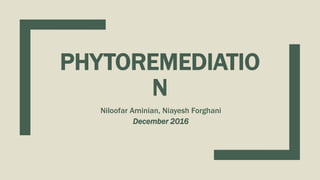 PHYTOREMEDIATIO
N
Niloofar Aminian, Niayesh Forghani
December 2016
 