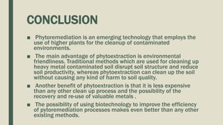 CONCLUSION
■ Phytoremediation is an emerging technology that employs the
use of higher plants for the cleanup of contaminated
environments.
■ The main advantage of phytoextraction is environmental
friendliness. Traditional methods which are used for cleaning up
heavy metal contaminated soil disrupt soil structure and reduce
soil productivity, whereas phytoextraction can clean up the soil
without causing any kind of harm to soil quality.
■ Another benefit of phytoextraction is that it is less expensive
than any other clean up process and the possibility of the
recovery and re-use of valuable metals .
■ The possibility of using biotechnology to improve the efficiency
of pytoremediation processes makes even better than any other
existing methods.
 