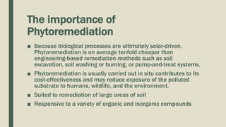 The importance of
Phytoremediation
■ Because biological processes are ultimately solar-driven,
Phytoremediation is on average tenfold cheaper than
engineering-based remediation methods such as soil
excavation, soil washing or burning, or pump-and-treat systems.
■ Phytoremediation is usually carried out in situ contributes to its
cost-effectiveness and may reduce exposure of the polluted
substrate to humans, wildlife, and the environment.
■ Suited to remediation of large areas of soil
■ Responsive to a variety of organic and inorganic compounds
 