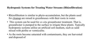Hydroponic Systems for Treating Water Streams (Rhizofiltration)
• Rhizofiltration is similar to phyto-accumulation, but the plants used
for cleanup are raised in greenhouses with their roots in water.
• This system can be used for ex-situ groundwater treatment. That is,
groundwater is pumped to the surface to irrigate these plants. Typically
hydroponic systems utilize an artificial soil medium, such as sand
mixed with perlite or vermiculite.
• As the roots become saturated with contaminants, they are harvested
and disposed of
 