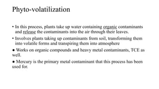 Phyto-volatilization
• In this process, plants take up water containing organic contaminants
and release the contaminants into the air through their leaves.
• Involves plants taking up contaminants from soil, transforming them
into volatile forms and transpiring them into atmosphere
● Works on organic compounds and heavy metal contaminants, TCE as
well.
● Mercury is the primary metal contaminant that this process has been
used for.
 