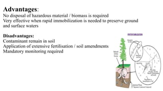 Advantages:
No disposal of hazardous material / biomass is required
Very effective when rapid immobilization is needed to preserve ground
and surface waters
Disadvantages:
Contaminant remain in soil
Application of extensive fertilisation / soil amendments
Mandatory monitoring required
 