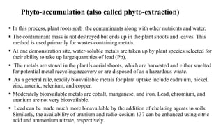 Phyto-accumulation (also called phyto-extraction)
 In this process, plant roots sorb the contaminants along with other nutrients and water.
 The contaminant mass is not destroyed but ends up in the plant shoots and leaves. This
method is used primarily for wastes containing metals.
 At one demonstration site, water-soluble metals are taken up by plant species selected for
their ability to take up large quantities of lead (Pb).
 The metals are stored in the plantÍs aerial shoots, which are harvested and either smelted
for potential metal recycling/recovery or are disposed of as a hazardous waste.
 As a general rule, readily bioavailable metals for plant uptake include cadmium, nickel,
zinc, arsenic, selenium, and copper.
 Moderately bioavailable metals are cobalt, manganese, and iron. Lead, chromium, and
uranium are not very bioavailable.
 Lead can be made much more bioavailable by the addition of chelating agents to soils.
Similarly, the availability of uranium and radio-cesium 137 can be enhanced using citric
acid and ammonium nitrate, respectively.
 