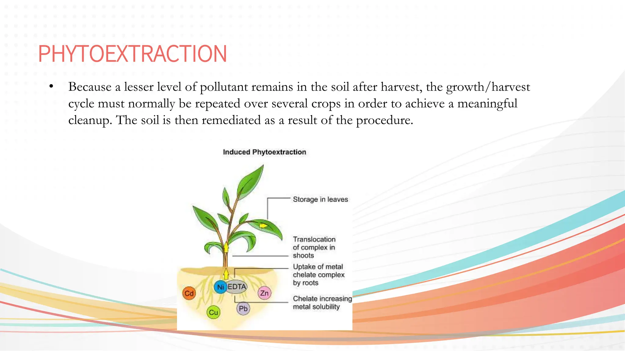 PHYTOEXTRACTION
• Because a lesser level of pollutant remains in the soil after harvest, the growth/harvest
cycle must normally be repeated over several crops in order to achieve a meaningful
cleanup. The soil is then remediated as a result of the procedure.
 