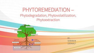 PHYTOREMEDIATION –
Phytodegradation, Phytovolatilization,
Phytoextraction
BY,
SHAHIN M
22ENVA17
 