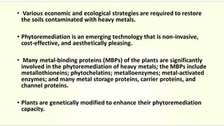 • Various economic and ecological strategies are required to restore
the soils contaminated with heavy metals.
• Phytoremediation is an emerging technology that is non-invasive,
cost-effective, and aesthetically pleasing.
• Many metal-binding proteins (MBPs) of the plants are significantly
involved in the phytoremediation of heavy metals; the MBPs include
metallothioneins; phytochelatins; metalloenzymes; metal-activated
enzymes; and many metal storage proteins, carrier proteins, and
channel proteins.
• Plants are genetically modified to enhance their phytoremediation
capacity.
 