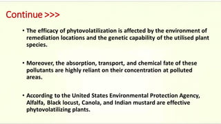 Continue >>>
• The efficacy of phytovolatilization is affected by the environment of
remediation locations and the genetic capability of the utilised plant
species.
• Moreover, the absorption, transport, and chemical fate of these
pollutants are highly reliant on their concentration at polluted
areas.
• According to the United States Environmental Protection Agency,
Alfalfa, Black locust, Canola, and Indian mustard are effective
phytovolatilizing plants.
 