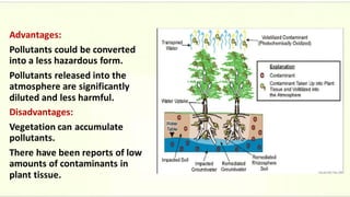 Advantages:
Pollutants could be converted
into a less hazardous form.
Pollutants released into the
atmosphere are significantly
diluted and less harmful.
Disadvantages:
Vegetation can accumulate
pollutants.
There have been reports of low
amounts of contaminants in
plant tissue.
 