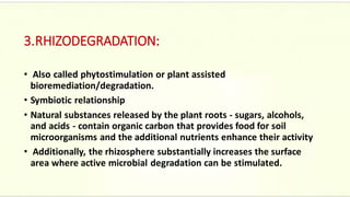 3.RHIZODEGRADATION:
• Also called phytostimulation or plant assisted
bioremediation/degradation.
• Symbiotic relationship
• Natural substances released by the plant roots - sugars, alcohols,
and acids - contain organic carbon that provides food for soil
microorganisms and the additional nutrients enhance their activity
• Additionally, the rhizosphere substantially increases the surface
area where active microbial degradation can be stimulated.
 