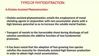 TYPES OF PHYTOEXTRACTION:
A.Chelate-Assisted Phytoextraction:
• Chelate-assisted phytoextraction entails the employment of metal
chelating agents in conjunction with non-accumulator plants with a
high biomass potential so as to increase the soluble metal fraction.
• Transport of metals to the harvestable shoot during discharge of soil
solution constitutes the additive function of two fundamental
processes.
• It has been noted that the adoption of fast-growing tree species
satisfies the necessity for chemically assisted high biomass production
in order to obtain high metal accumulation.
 