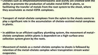 • Chelates such as ethylenediaminetetraacetic acid (EDTA) are credited with the
ability to promote the production of soluble metal-EDTA in plants, so
facilitating the transfer of metals from the root system to the shoot, where
they accumulate as metal–EDTA complexes.
• Transport of metal–chelate complexes from the xylem to the shoots seems to
play a significant role in the accumulation of chelate-assisted metal complexes
in plants.
• In addition to an efficient capillary plumbing system, the movement of metal–
chelate complexes within plants is dependent on a high-surface-area
collection system given by the roots.
• Movement of metals as a metal–chelate complex to shoots is followed by
retention of the metal–chelate complex when transpiration stream water
evaporates.
 