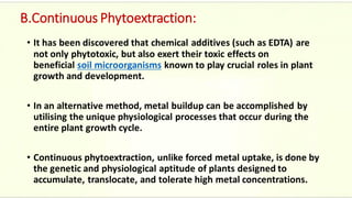 B.Continuous Phytoextraction:
• It has been discovered that chemical additives (such as EDTA) are
not only phytotoxic, but also exert their toxic effects on
beneficial soil microorganisms known to play crucial roles in plant
growth and development.
• In an alternative method, metal buildup can be accomplished by
utilising the unique physiological processes that occur during the
entire plant growth cycle.
• Continuous phytoextraction, unlike forced metal uptake, is done by
the genetic and physiological aptitude of plants designed to
accumulate, translocate, and tolerate high metal concentrations.
 