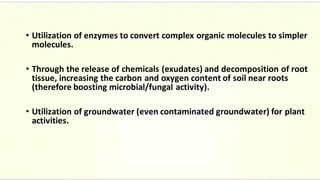 • Utilization of enzymes to convert complex organic molecules to simpler
molecules.
• Through the release of chemicals (exudates) and decomposition of root
tissue, increasing the carbon and oxygen content of soil near roots
(therefore boosting microbial/fungal activity).
• Utilization of groundwater (even contaminated groundwater) for plant
activities.
 