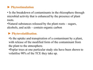 ► Phytostimulation
• Is the breakdown of contaminants in the rhizosphere through
microbial activity that is enhanced by the presence of plant
roots.
•Natural substances released by the plant roots – sugars,
alcohols, and acids – contain organic carbon
► Phytovolatilisation.
•Is the uptake and transpiration of a contaminant by a plant,
with release of the modified form of the contaminant from
the plant to the atmosphere.
•Poplar trees at one particular study site have been shown to
volatilise 90% of the TCE they take up.
 