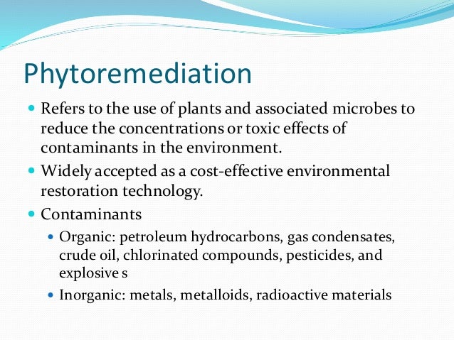 Phytoremediation of pesticides ppt presentation